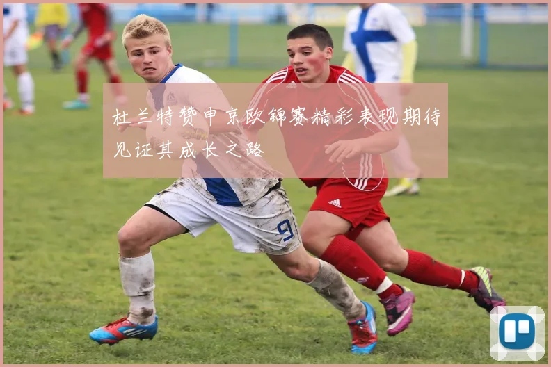 杜兰特赞申京欧锦赛精彩表现期待见证其成长之路