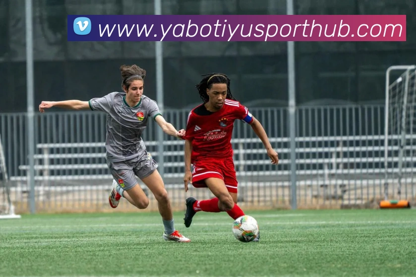 亚博体育APP 封面图